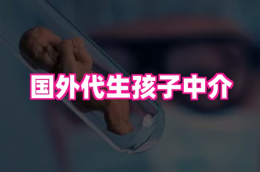 swisee孕网 3