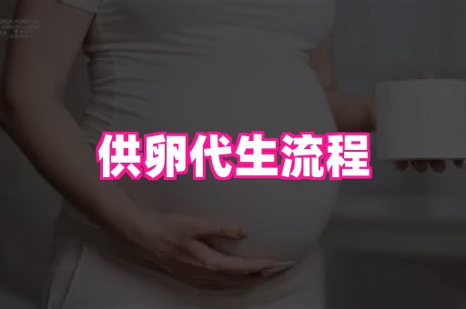 swisee孕网 4